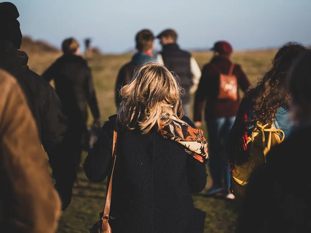 The bandwagon effect and the impact it has on financial decisions
